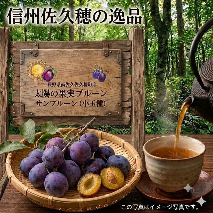 太陽の果実プルーン　サンプルーン（小玉種）　DS予約販売（出荷予定 8月20日頃から2週間）